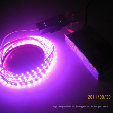 Luz de tira flexible del color rosado del LED